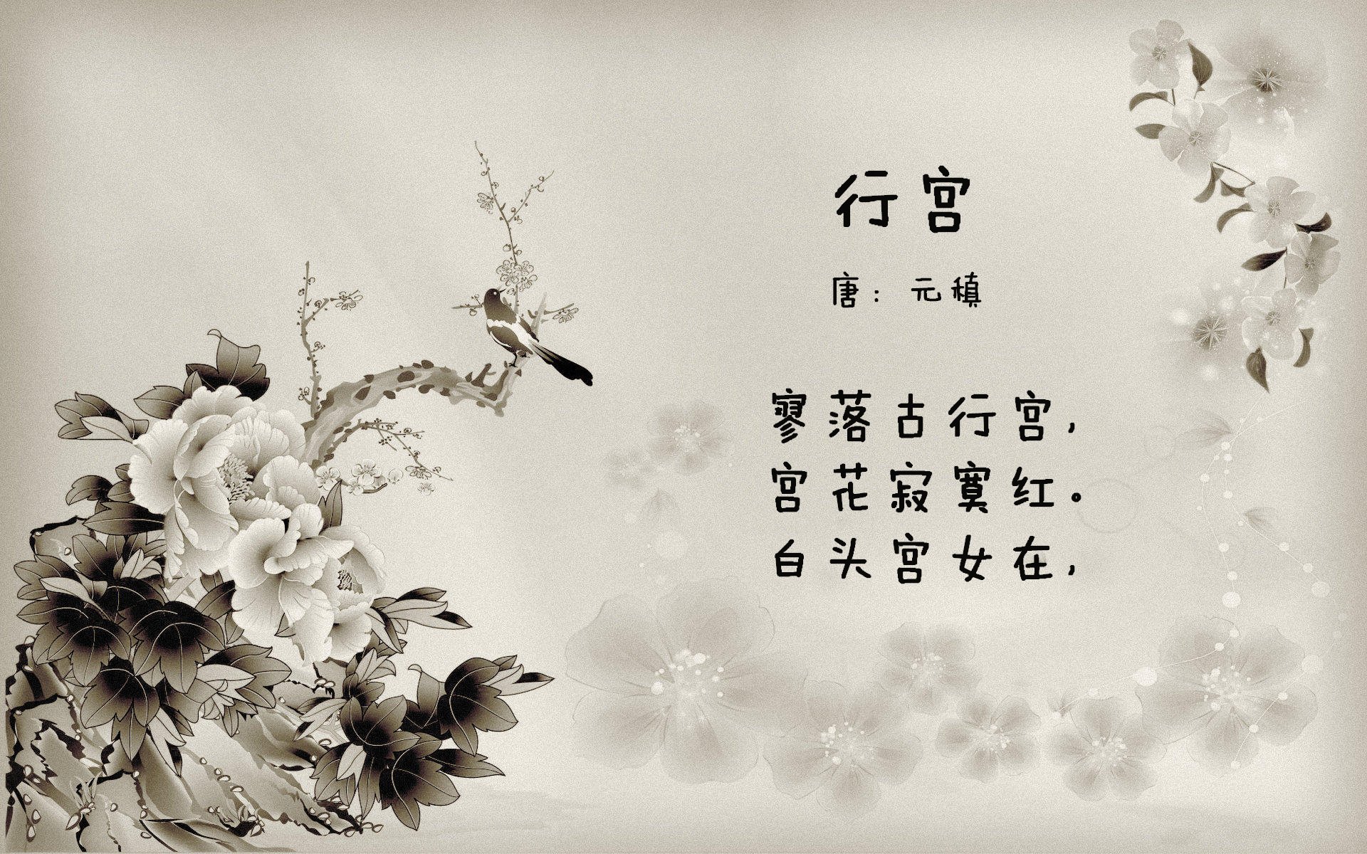 “成都滑轮中心：新血液冲击旧纪录，谁能独占鳌头？”