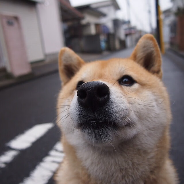 美国队在国际乒联混合团体世界杯中的赛场表现与团队协作,美国乒乓球国家队队员名单