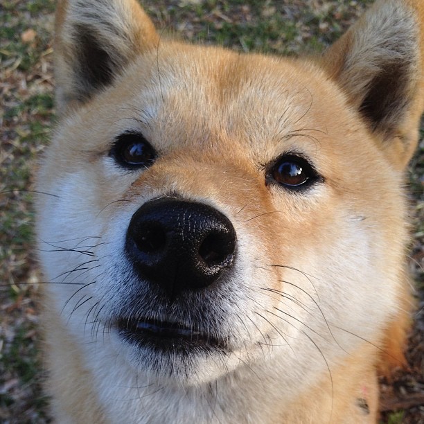 乌干达女篮在非洲锦标赛中拼搏不止，期待突破极限，非洲乌干达是什么地方